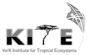 KITE logo 2-300x189