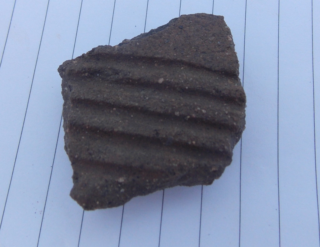 Decorated pottery sherd - what archaeology is almost all about