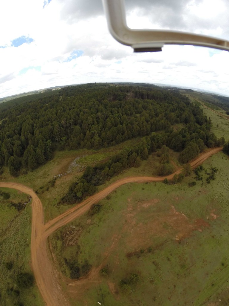 Researchers study future of Kenya’s ‘last big mountain forest’ | CIFOR Forests News Blog