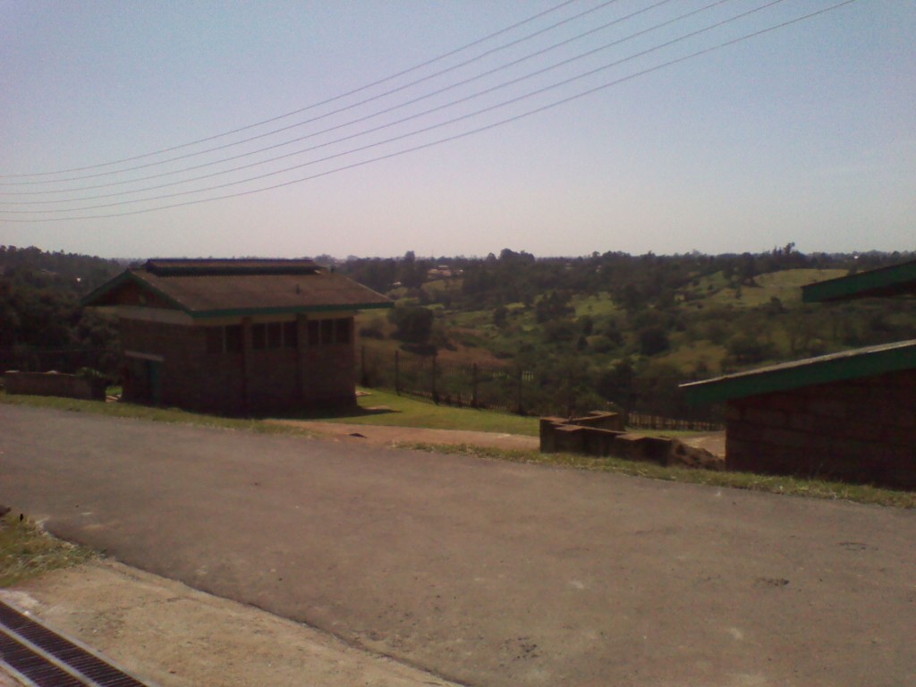View from MAZINGIRA office.