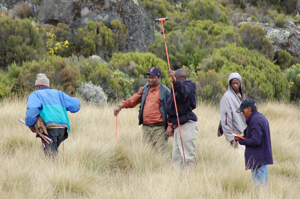 A new paper about vegetation change on Kilimanjaro
